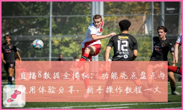 直播8数据全揭秘：功能亮点盘点与使用体验分享，新手操作教程一文读懂
